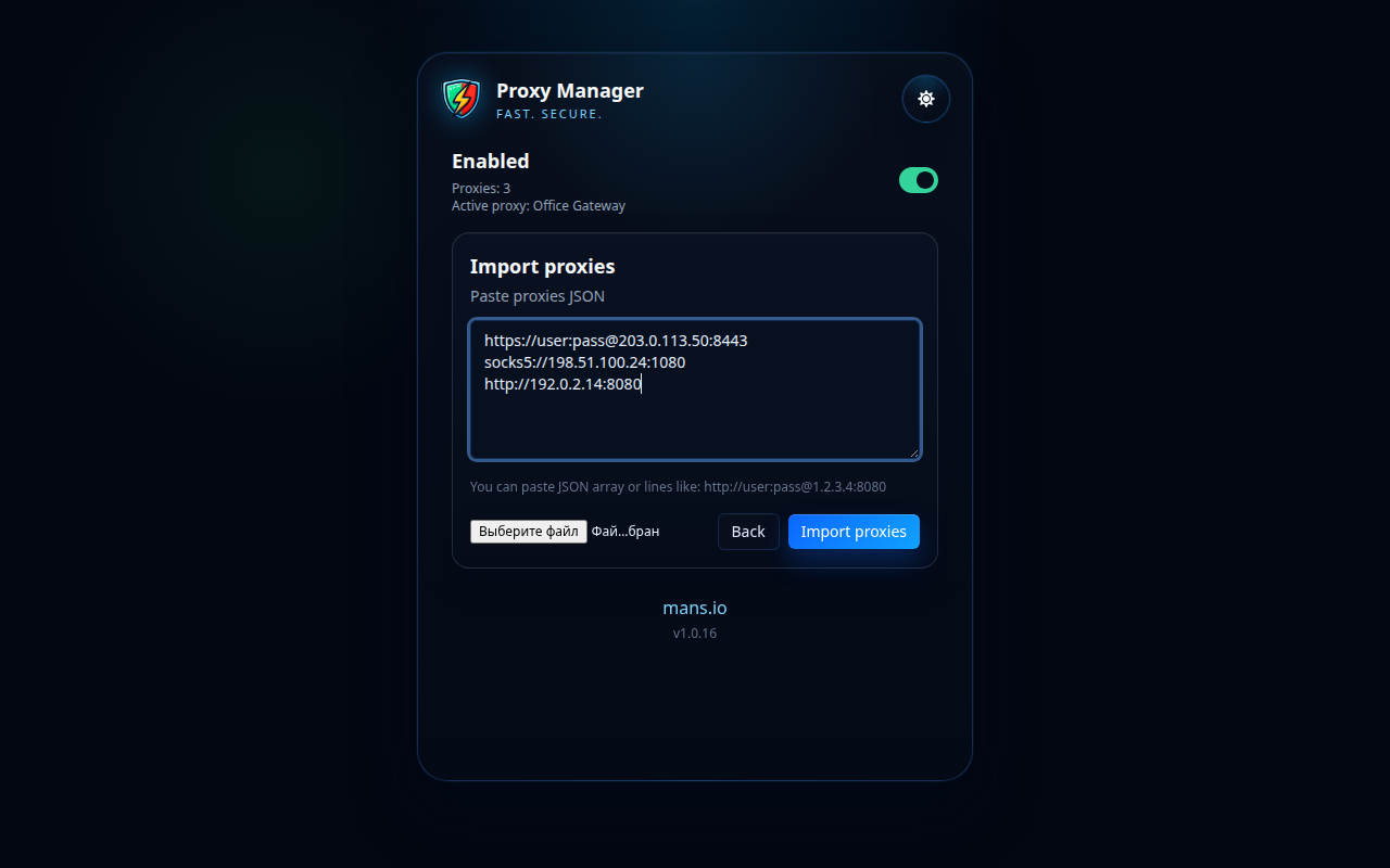 Proxy Manager ներմուծման էկրան